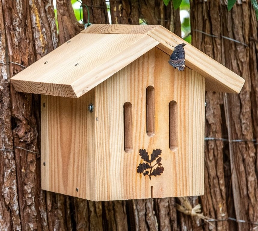 Bug Hotels